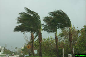 wind.jpg