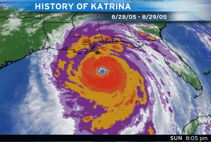 katgif_anim2_lg.gif